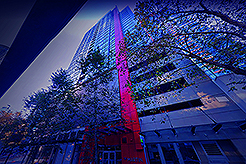 THE MARTIN FOR THE HOLIDAYS